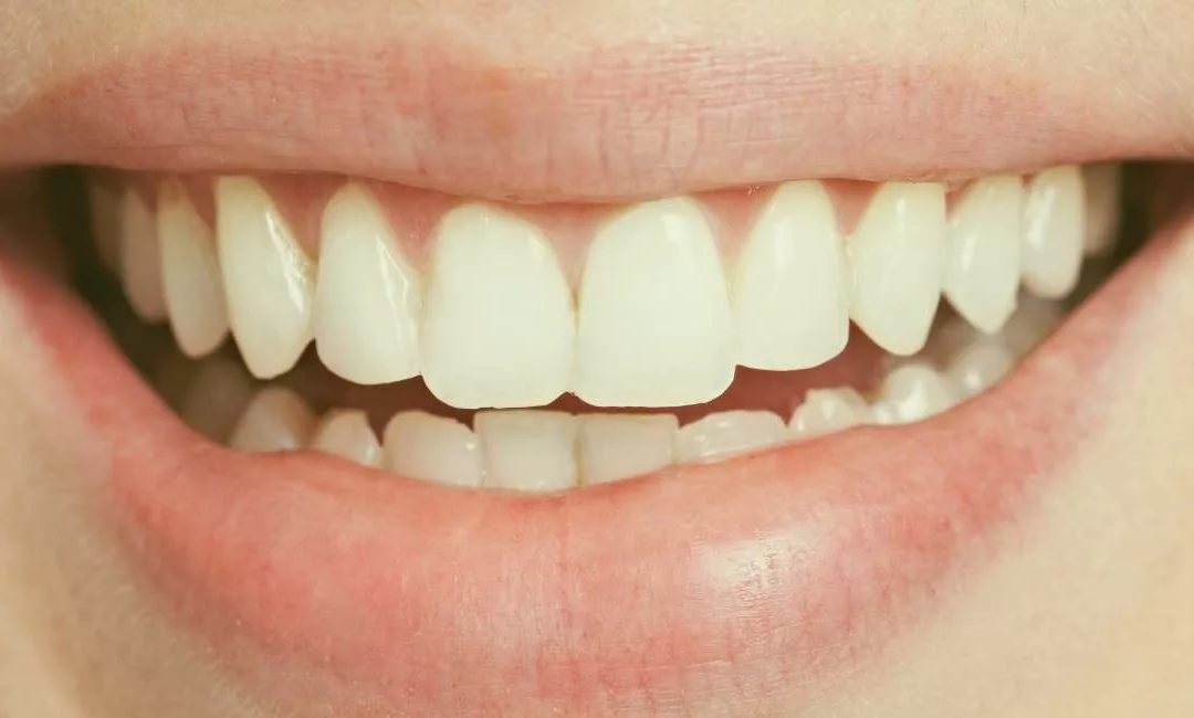 Menos dientes evolución humana