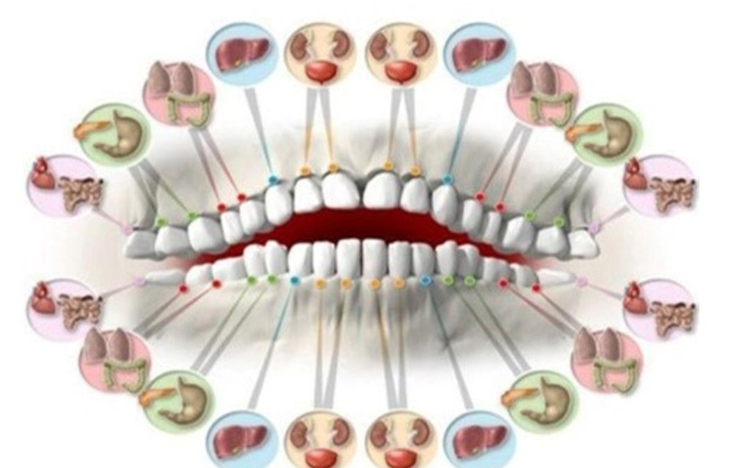 odontología integrativa holísitica