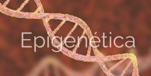 epigenética